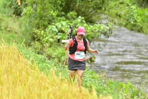 BIB: 1184
                            <button type="button" onclick="openModal(13436182)" class="btn btn-primary btn-sm float-right btn-popup" data-toggle="modal" data-target=".modal-high-quality">
                        <i class="fas fa-shopping-cart"></i> Add to Cart
                    </button>
                                            <button type="button" onclick="isThisMe(13436182, true)" class="btn btn-success btn-sm float-right btn-popup btn-isme hidden" data-toggle="tooltip" data-placement="bottom" title="นี่คือรูปของคุณใช่ไหม คลิกที่นี่เพื่อเอาเข้าอัลบั้ม">
                        <i class="fas fa-plus"></i> Add to album
                    </button>
                    <button type="button" onclick="isThisMe(13436182, false)" class="btn btn-warning btn-sm float-right btn-popup btn-isnotme hidden">
                        <i class="fas fa-ban"></i> Remove from album
                    </button>